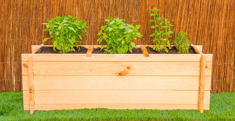 Com preparar la terra per a cultivar?