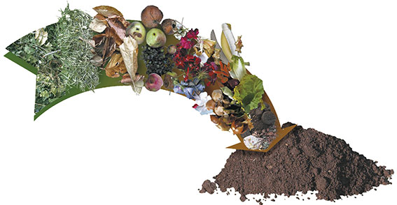 compost